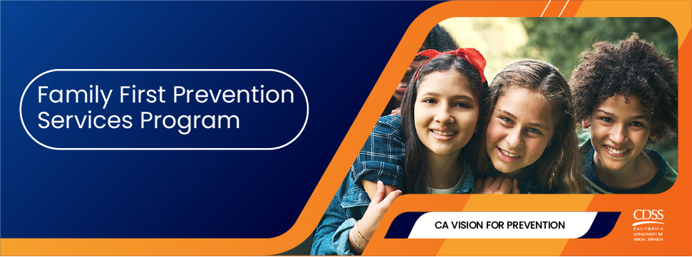 ca vision-100
